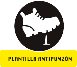 icono-plantilla-antipunson